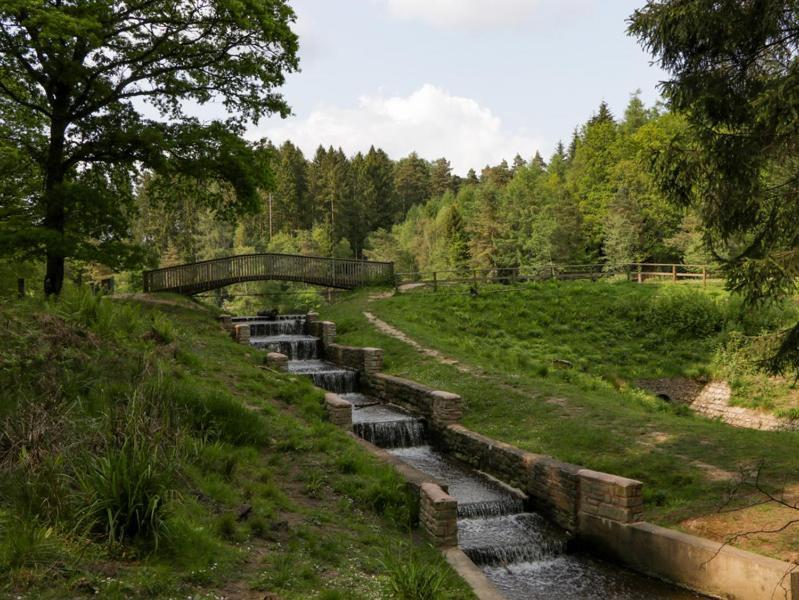 The Forest Coach House Cinderford Εξωτερικό φωτογραφία