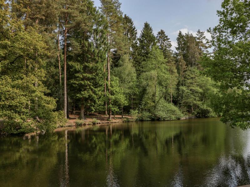 The Forest Coach House Cinderford Εξωτερικό φωτογραφία