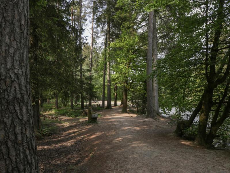 The Forest Coach House Cinderford Εξωτερικό φωτογραφία